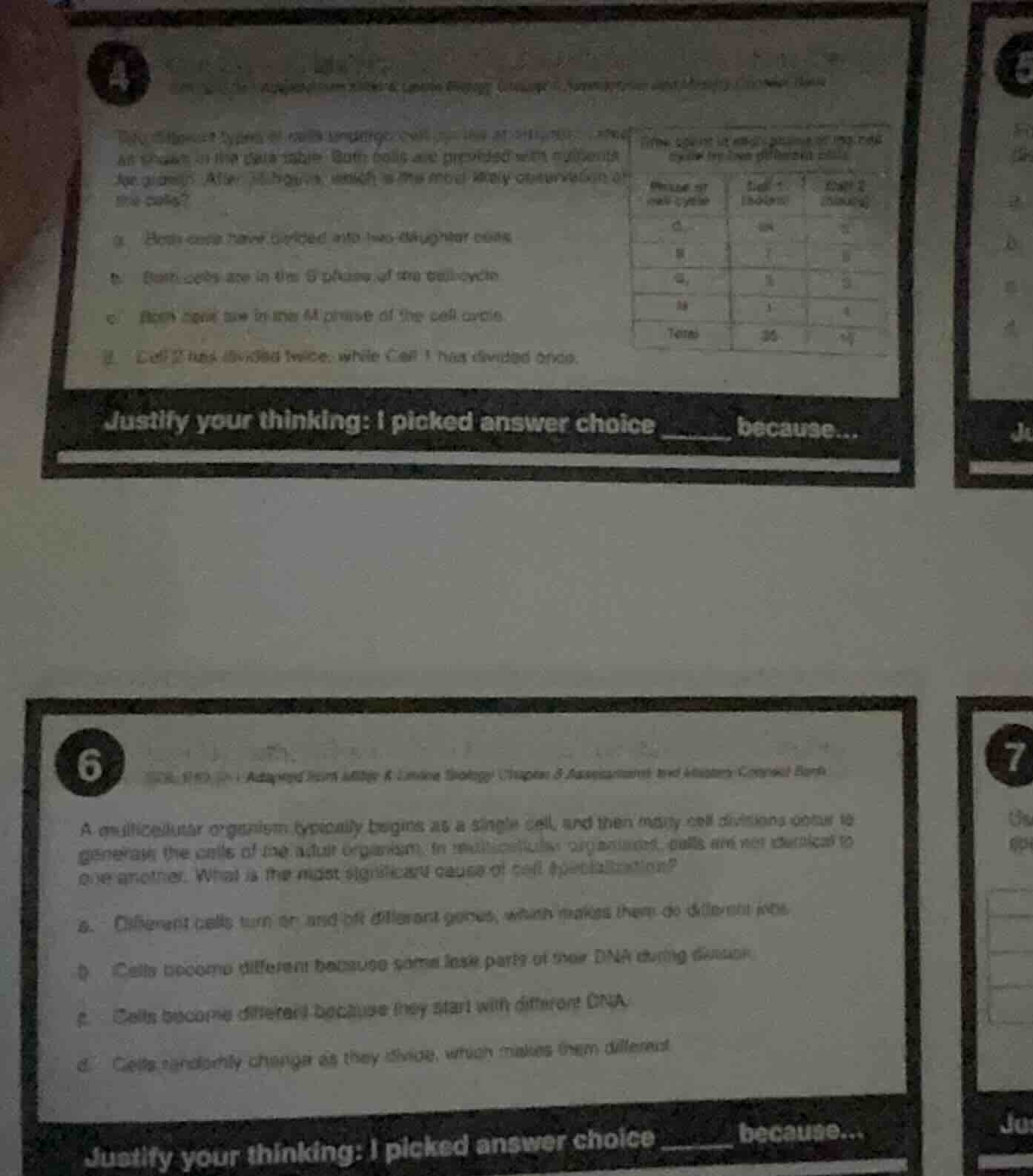 4 the following 2 types of cells undergoing cell division at different …