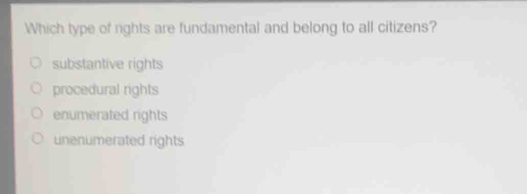 which type of rights are fundamental and belong to all citizens? substa…