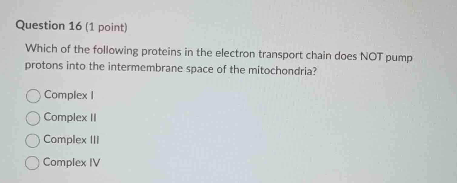 question 16 (1 point) which of the following proteins in the electron t…