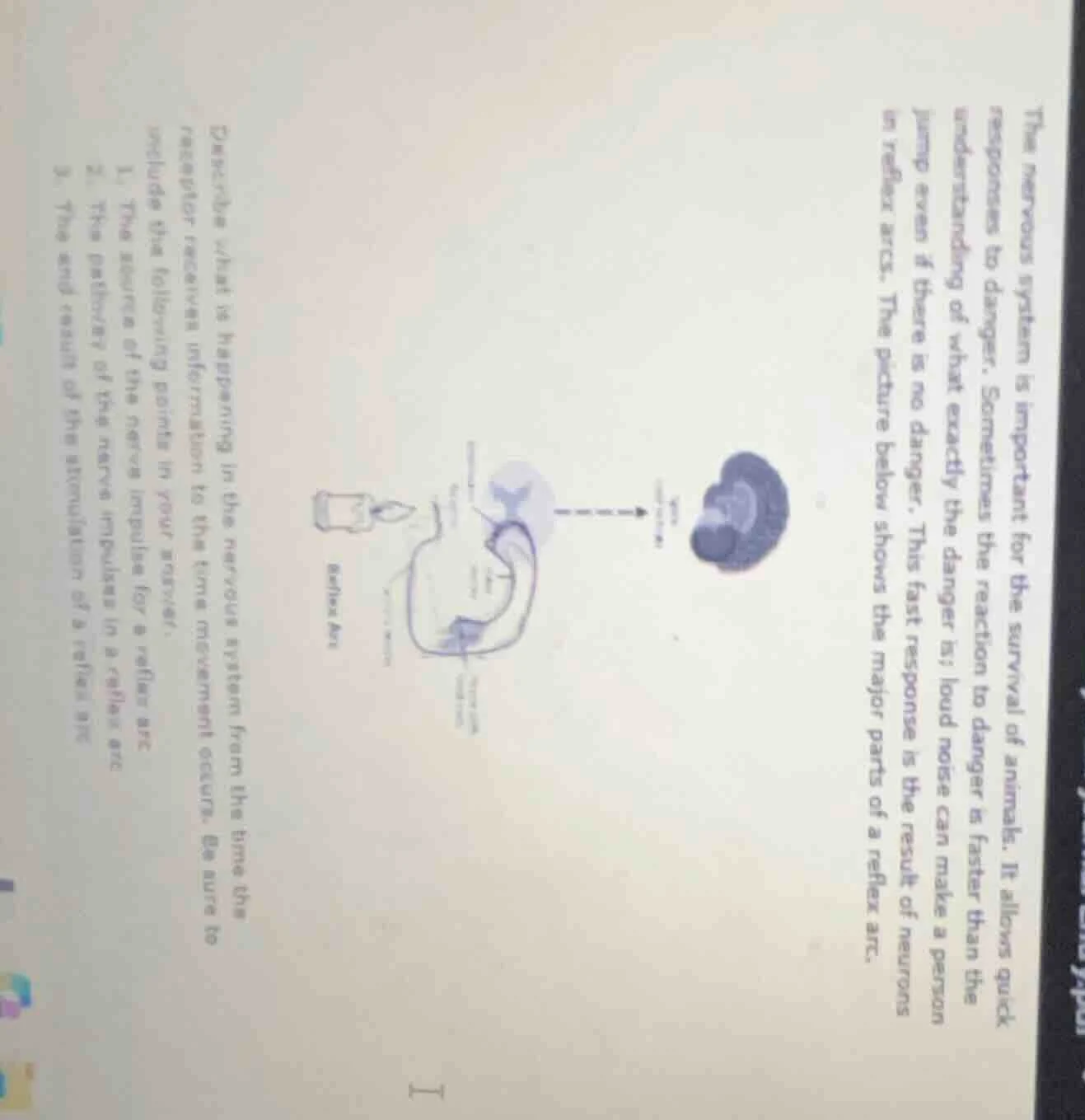 the nervous system is important for the survival of animals. it allows …