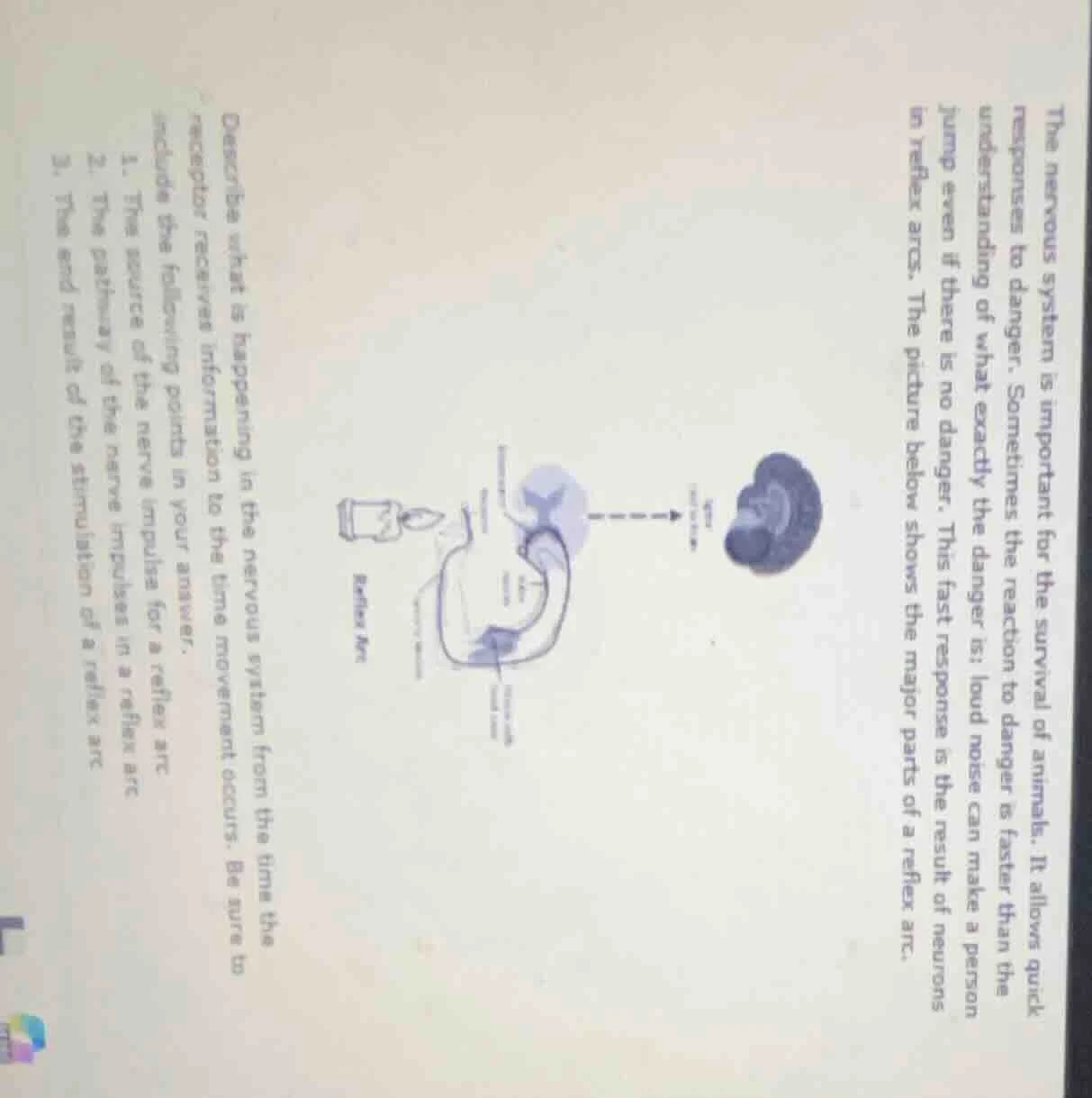 the nervous system is important for the survival of animals. it allows …