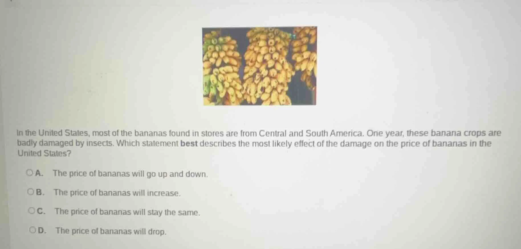 in the united states, most of the bananas found in stores are from cent…