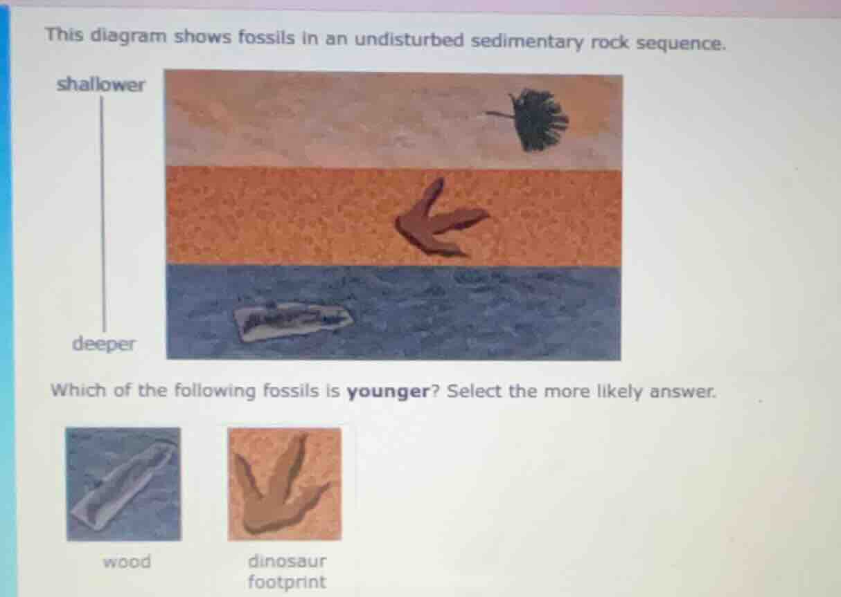 this diagram shows fossils in an undisturbed sedimentary rock sequence.…