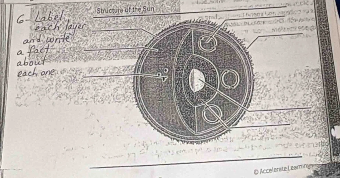 6- label each layer and write a fact about each one. structure of the s…