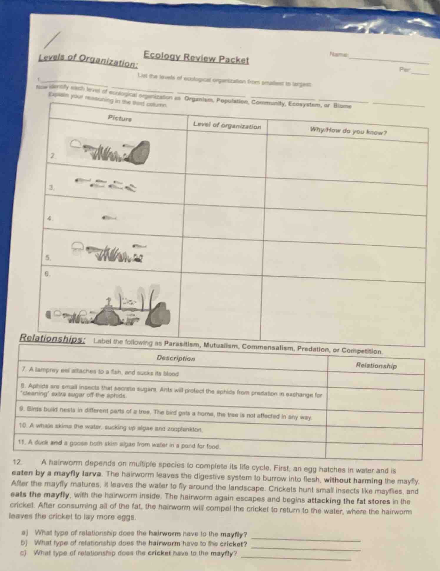 ecology review packet name: per levels of organization: 1. list the lev…