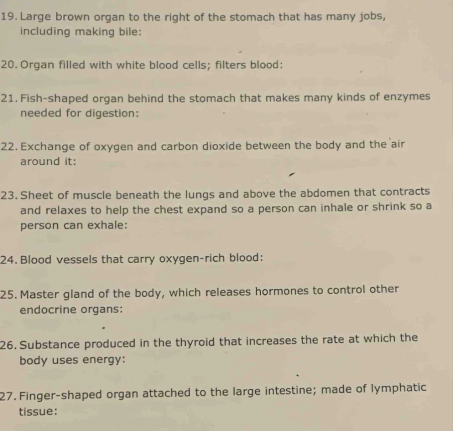 19. large brown organ to the right of the stomach that has many jobs, i…