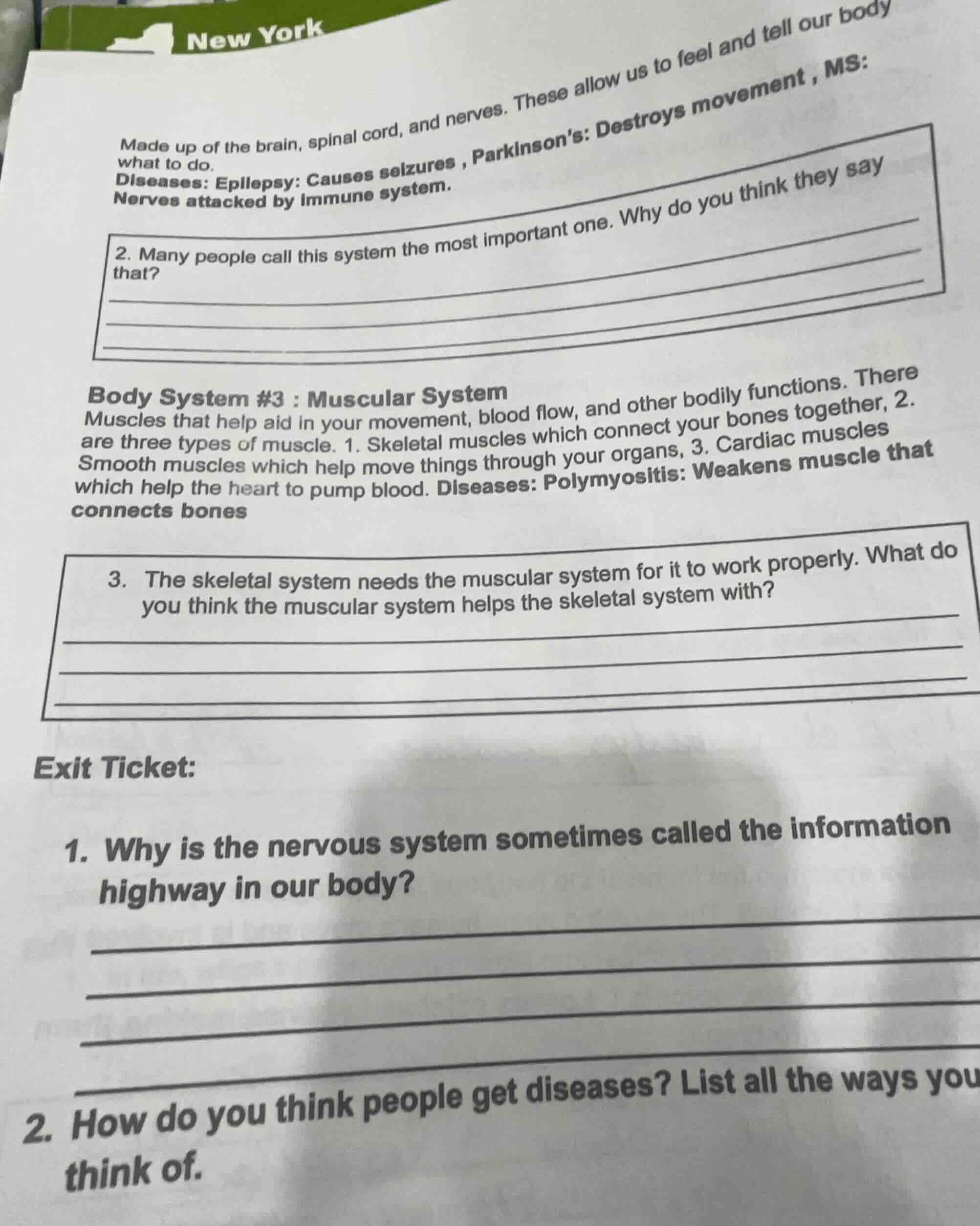 made up of the brain, spinal cord, and nerves. these allow us to feel a…