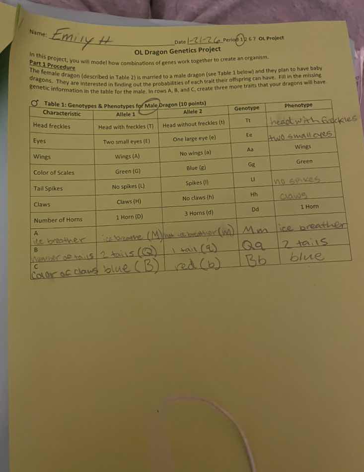 name: emily h date 2/13/24 period 12 6.7 ol project ol dragon genetics …