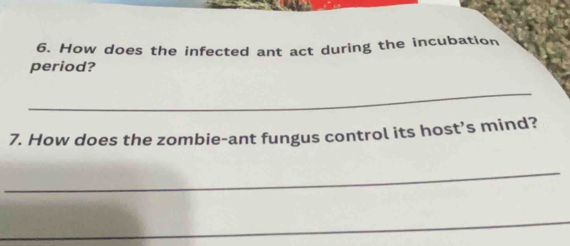 6. how does the infected ant act during the incubation period? 7. how d…
