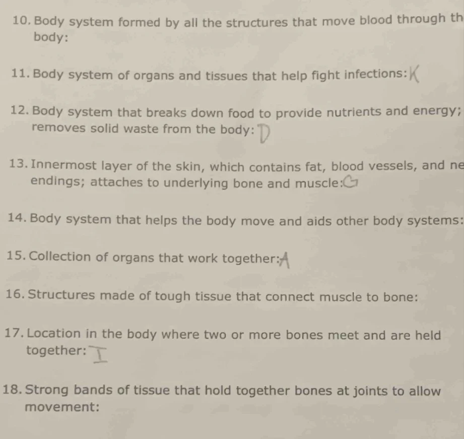 10. body system formed by all the structures that move blood through th…