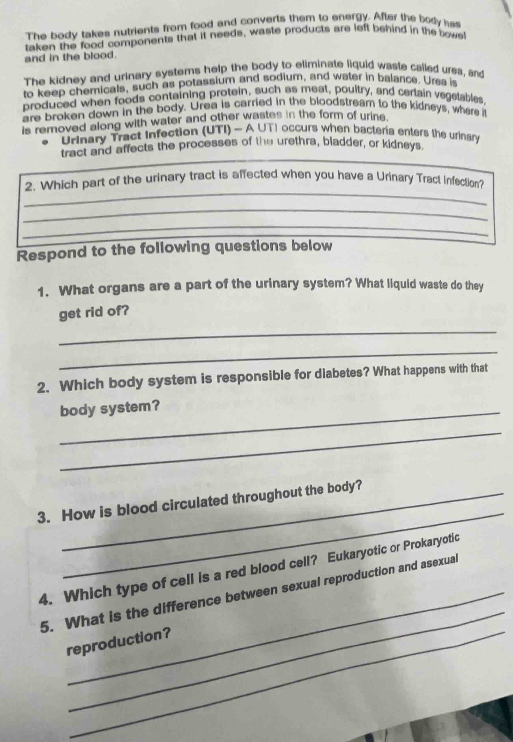 the body takes nutrients from food and converts them to energy. after t…