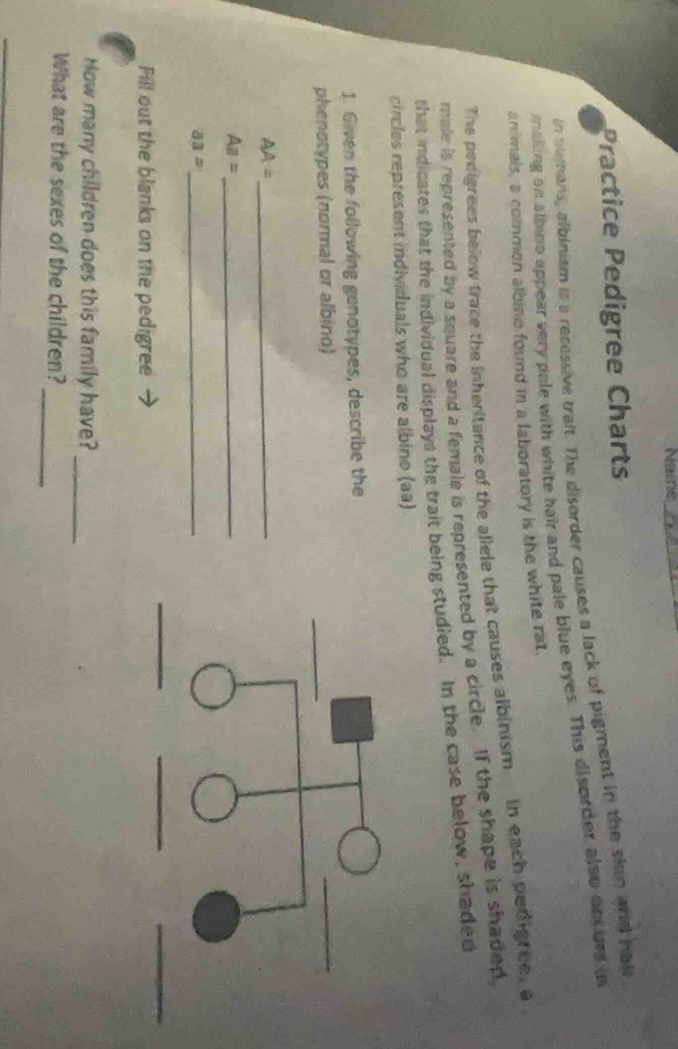 practice pedigree charts in humans, albinism is a recessive trait. the …