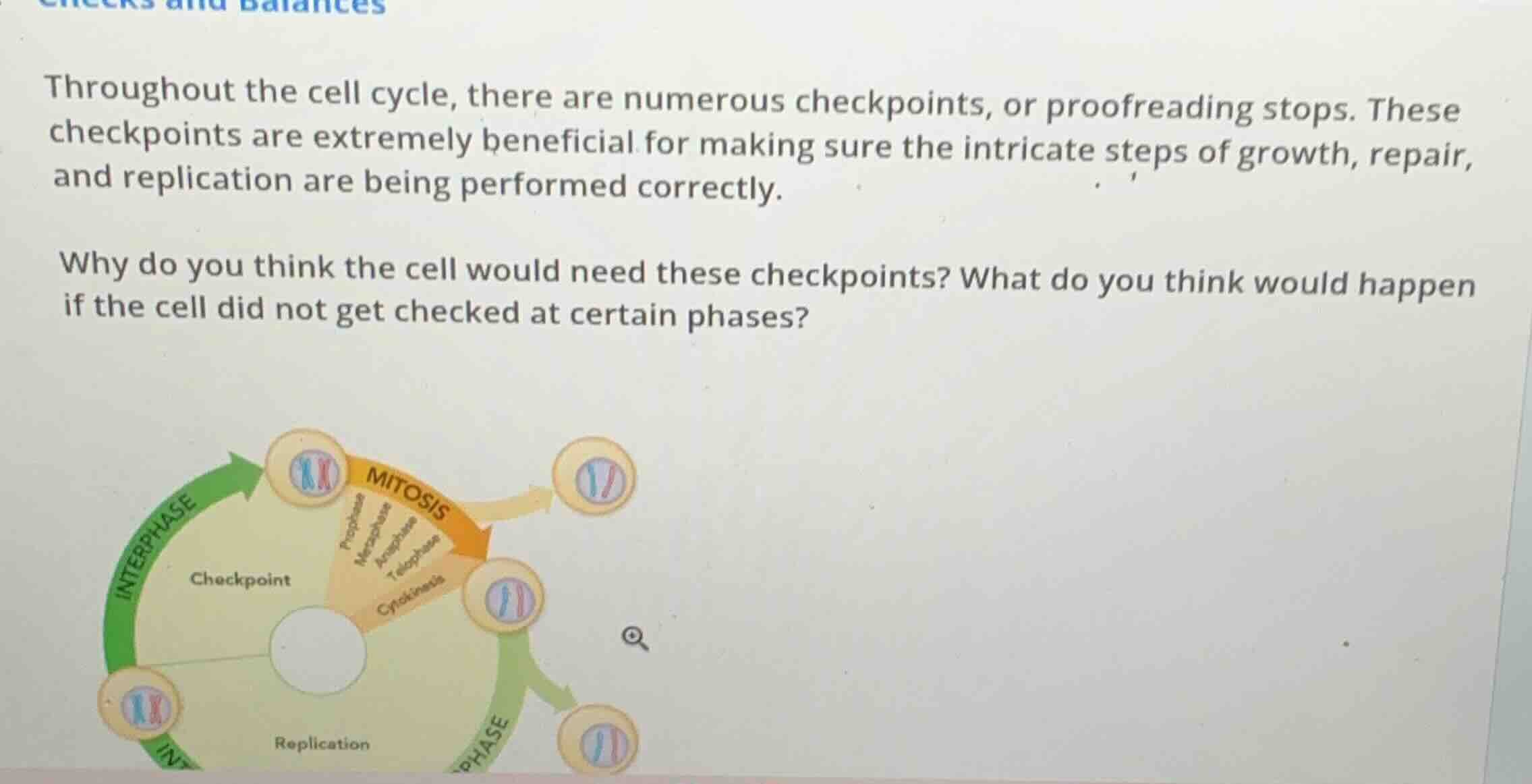 throughout the cell cycle, there are numerous checkpoints, or proofread…