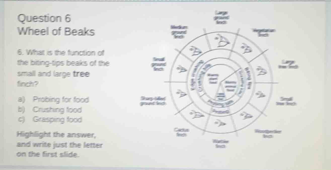 question 6 wheel of beaks 6. what is the function of the biting - tips …