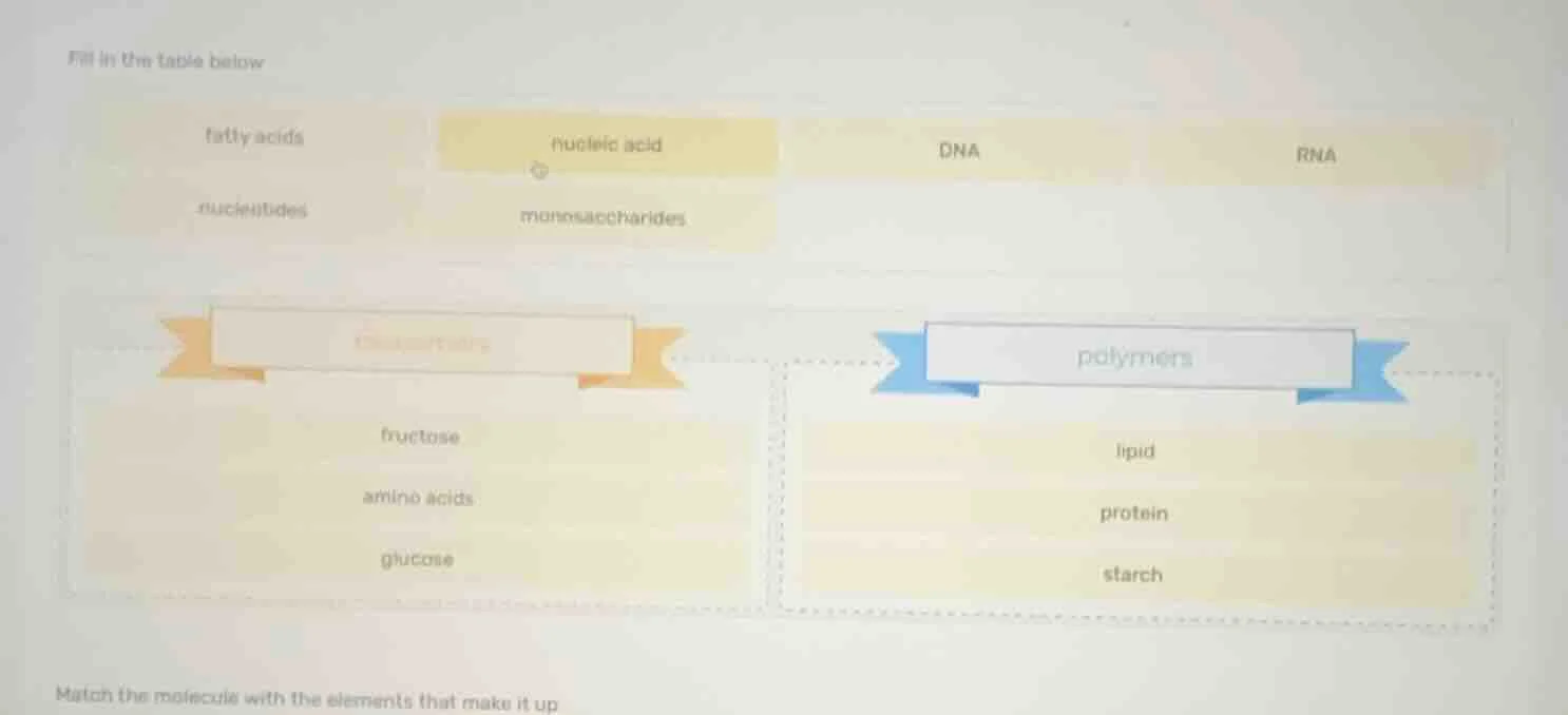 fill in the table below fatty acids nucleic acid dna rna nucleotides mo…