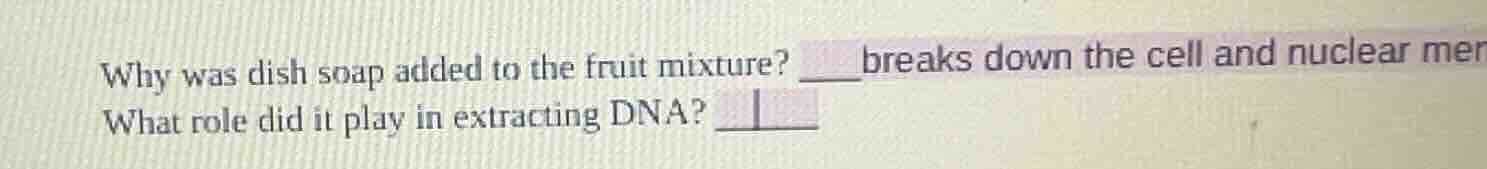why was dish soap added to the fruit mixture? ____breaks down the cell …