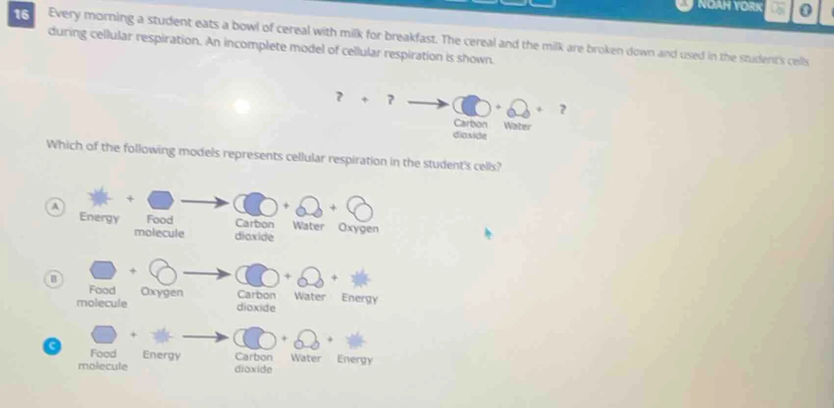 16 every morning a student eats a bowl of cereal with milk for breakfas…