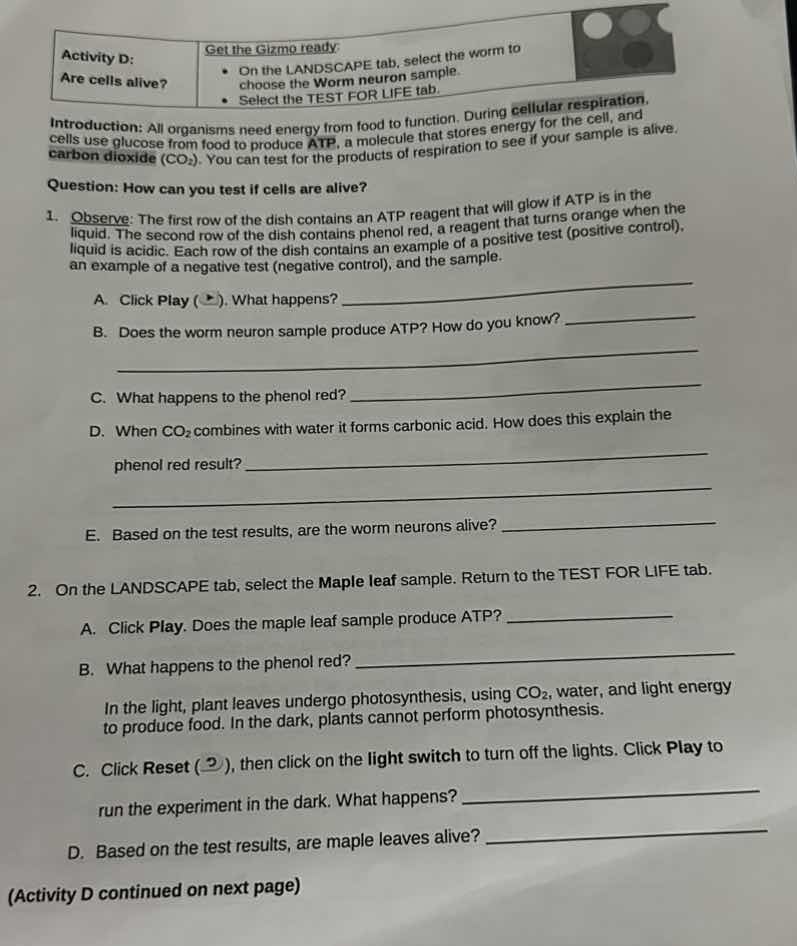 activity d: are cells alive? get the gizmo ready: - on the landscape ta…