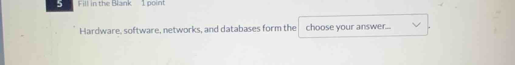 5 fill in the blank 1 point hardware, software, networks, and databases…