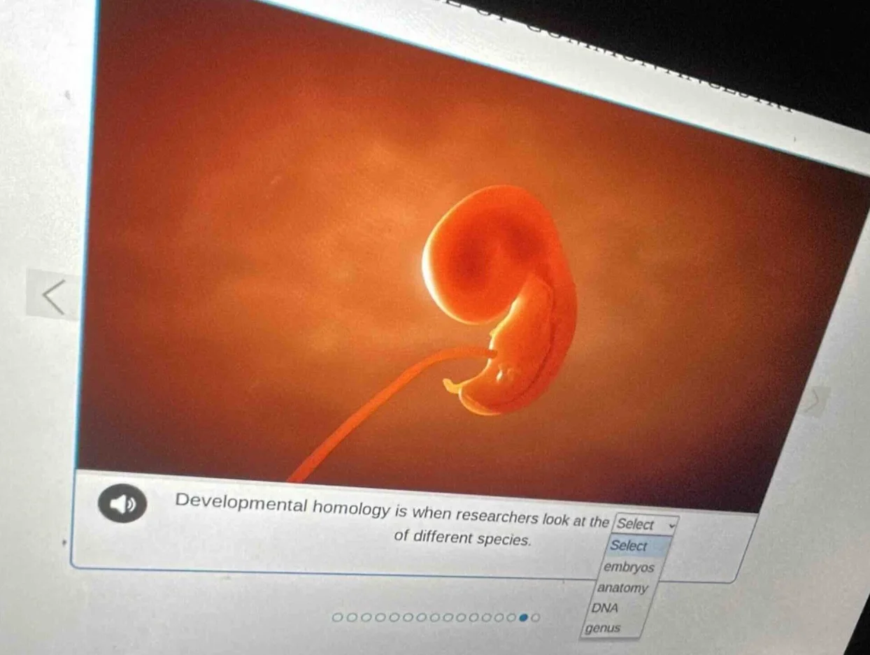 developmental homology is when researchers look at the of different spe…