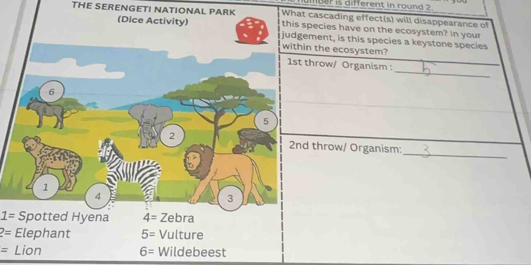 the serengeti national park (dice activity) what cascading effect(s) wi…