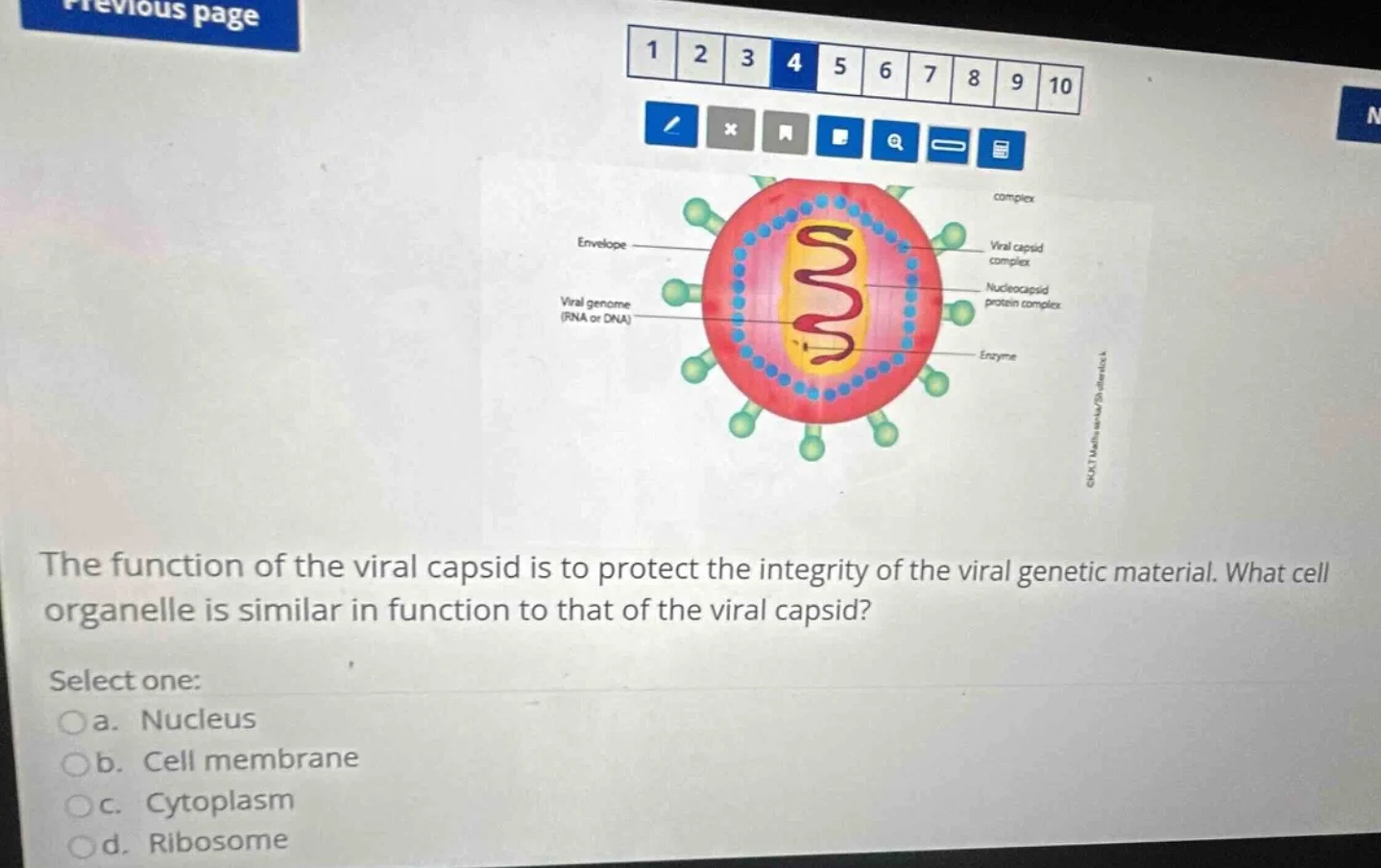 the function of the viral capsid is to protect the integrity of the vir…