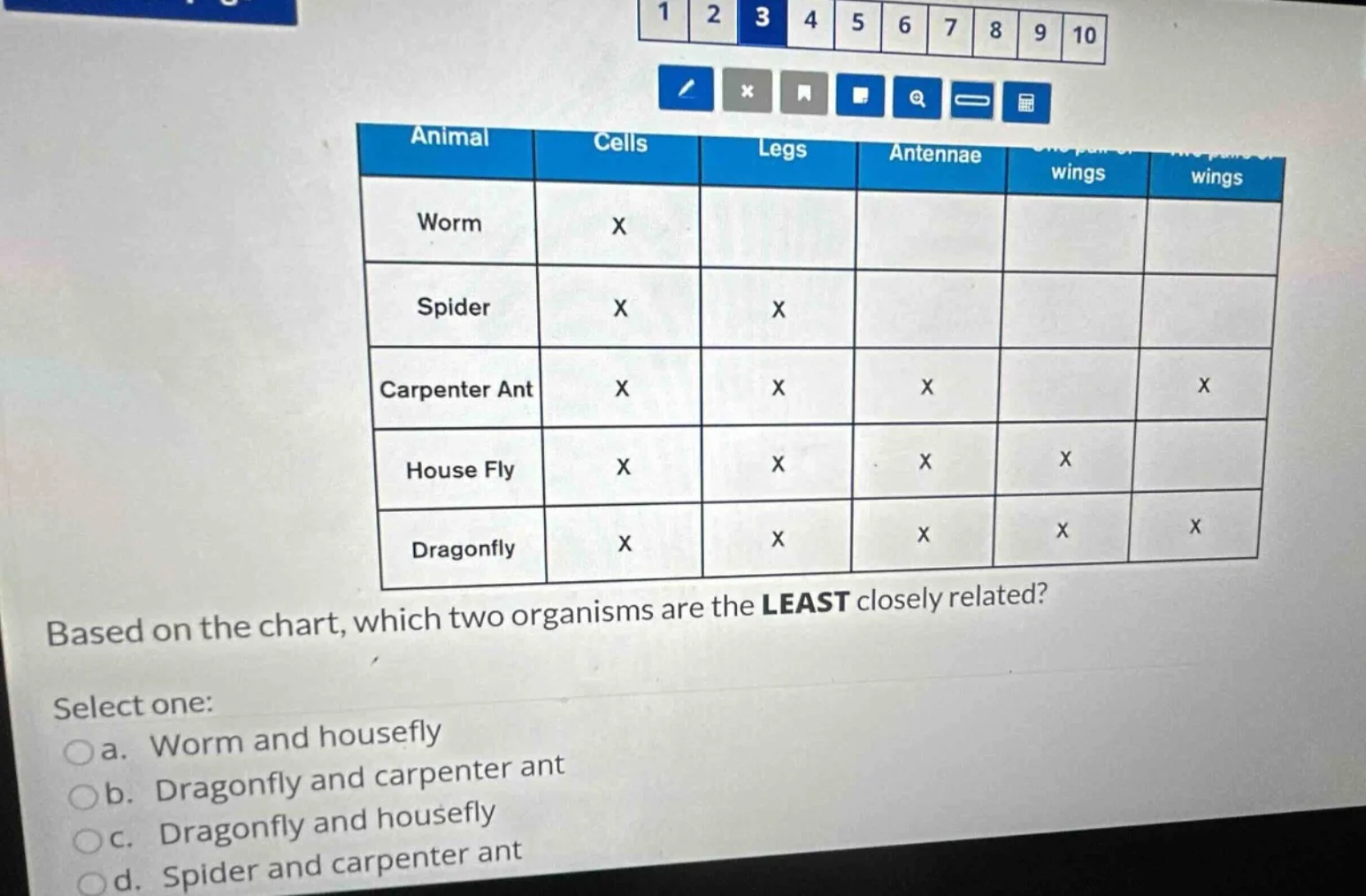 animal cells legs antennae wings wings worm x spider x x carpenter ant …