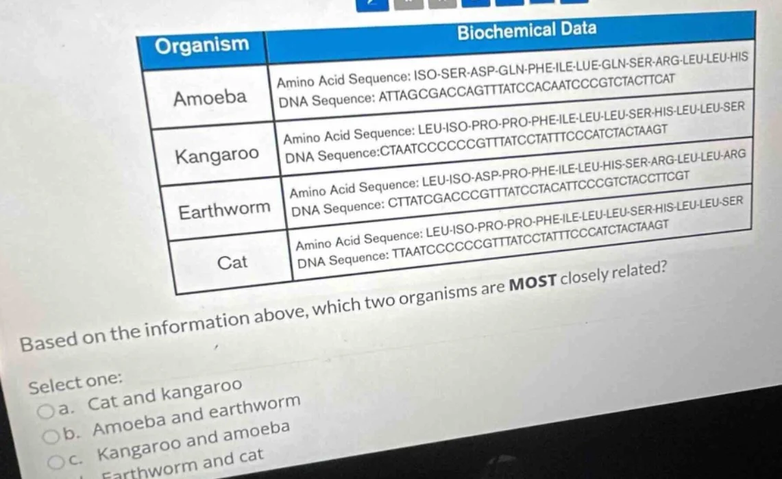 | organism | biochemical data | | --- | --- | | amoeba | amino acid seq…