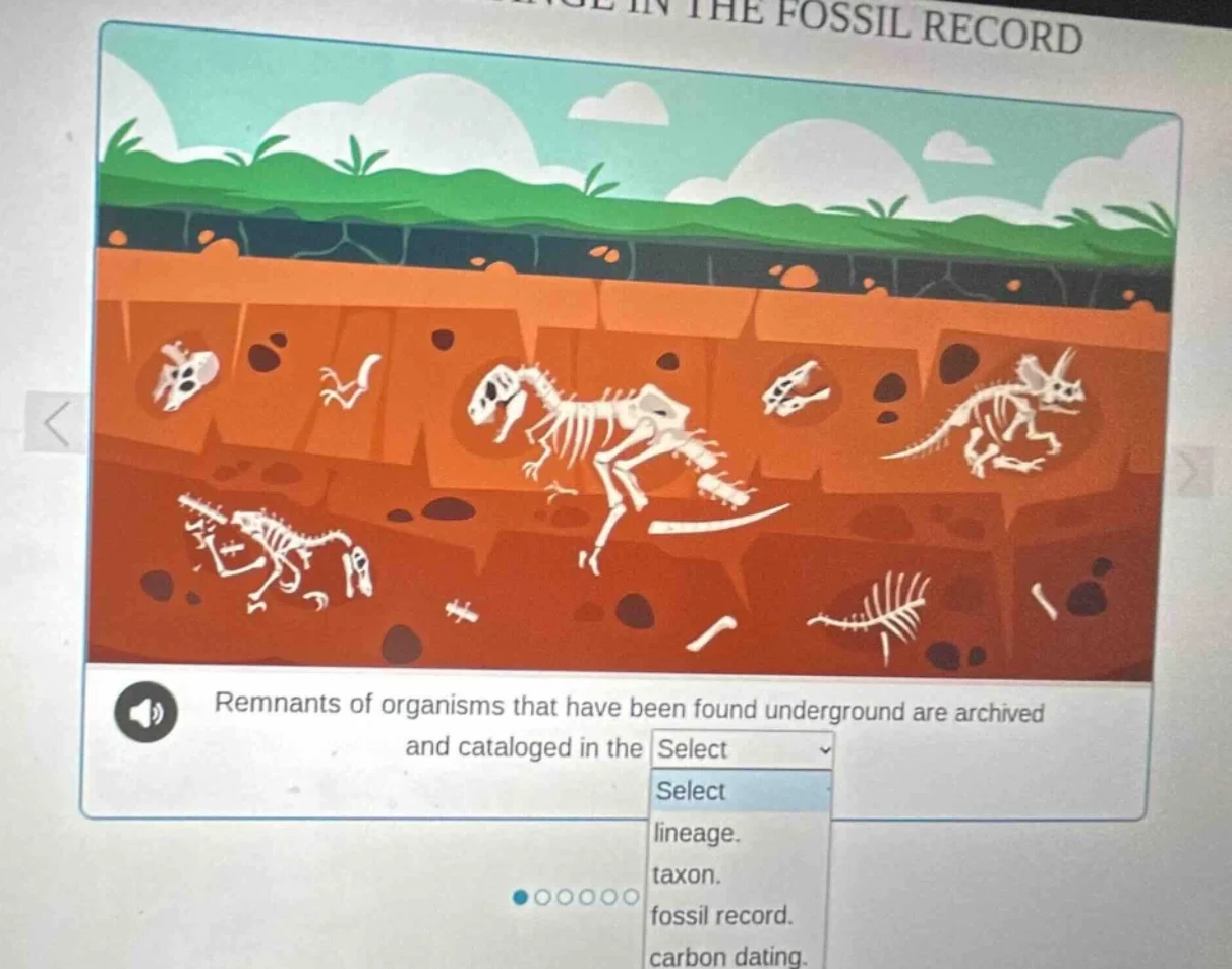 remnants of organisms that have been found underground are archived and…