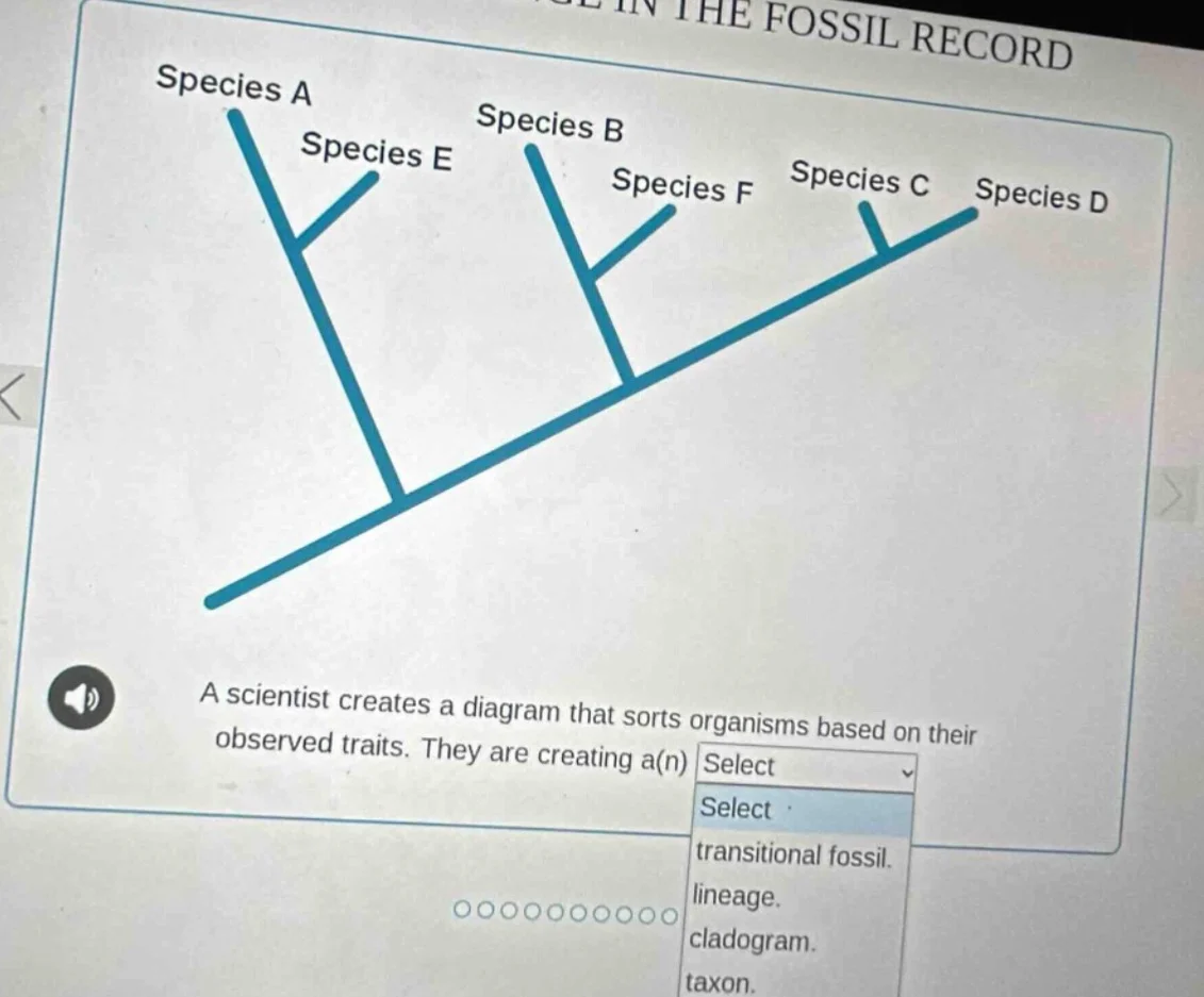 a scientist creates a diagram that sorts organisms based on their obser…