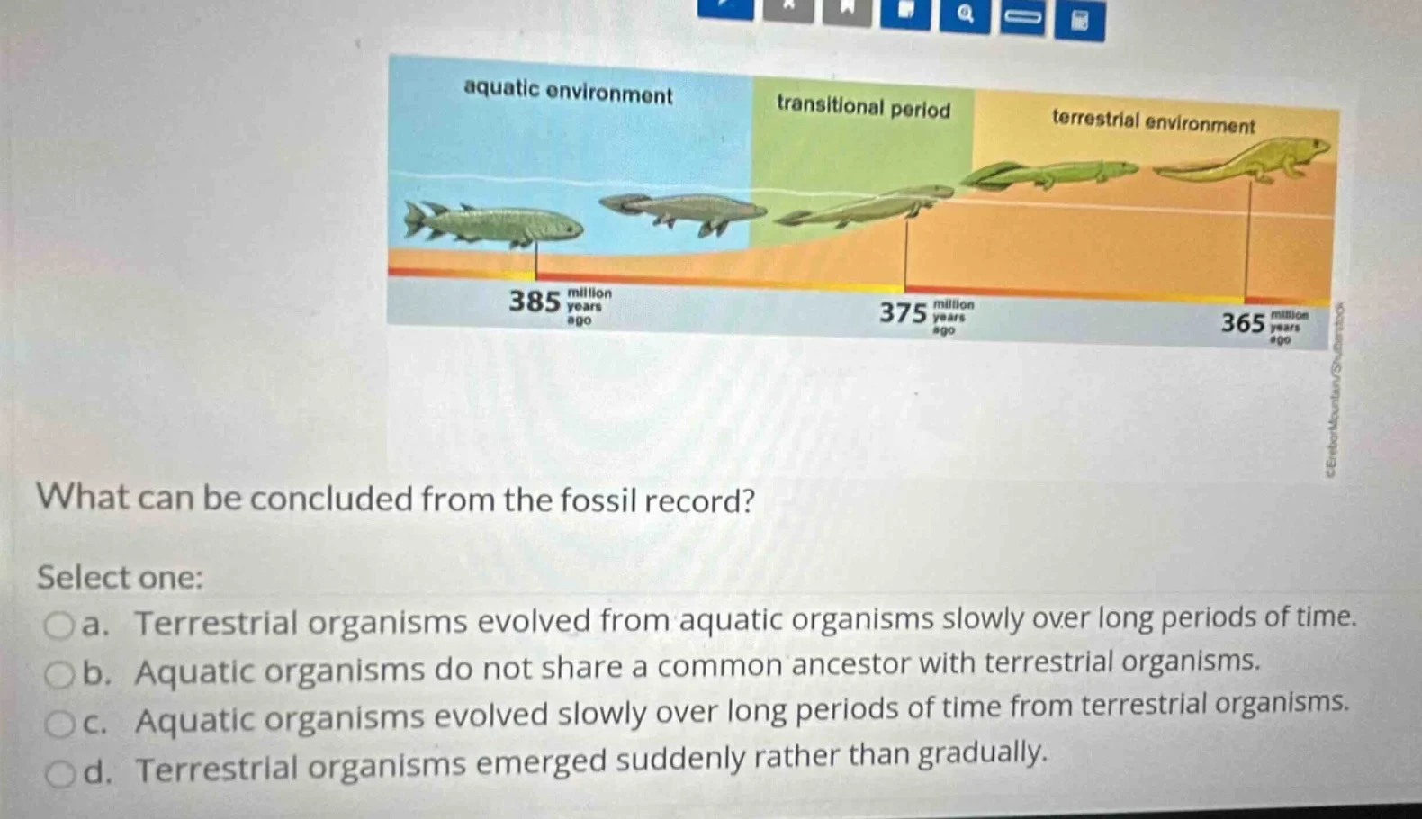 what can be concluded from the fossil record? select one: a. terrestria…