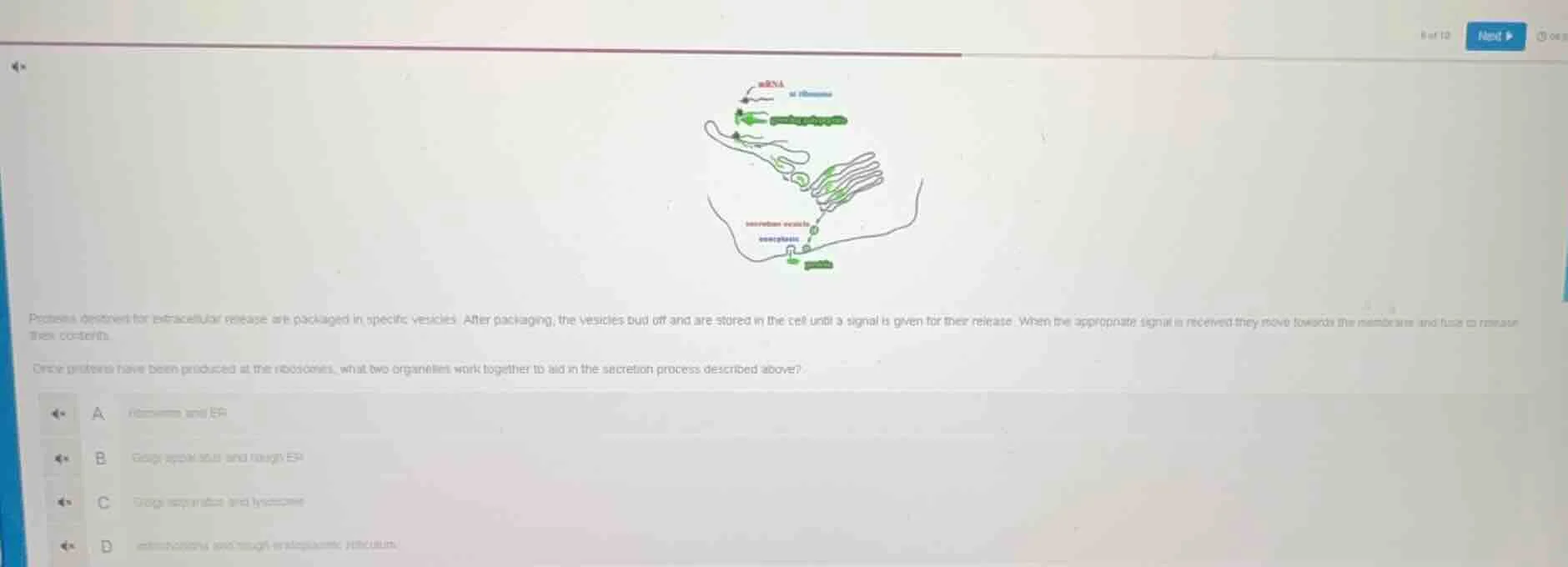 proteins destined for extracellular release are packaged in specific ve…
