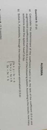 exercises 5. (5 pt) algebra a) calculate the determinant of the coeffic…