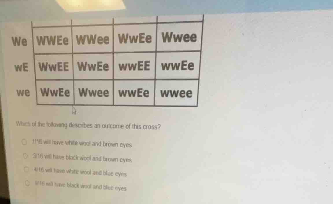 we wwee wwee wwee wwee we wwee wwee wwee wwee we wwee wwee wwee wwee wh…