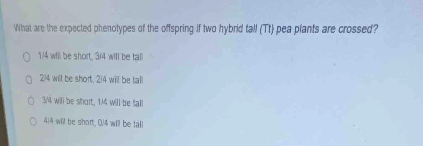 what are the expected phenotypes of the offspring if two hybrid tall (t…