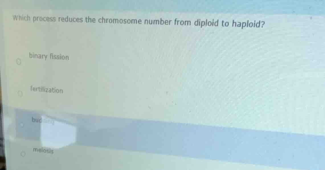 which process reduces the chromosome number from diploid to haploid? bi…