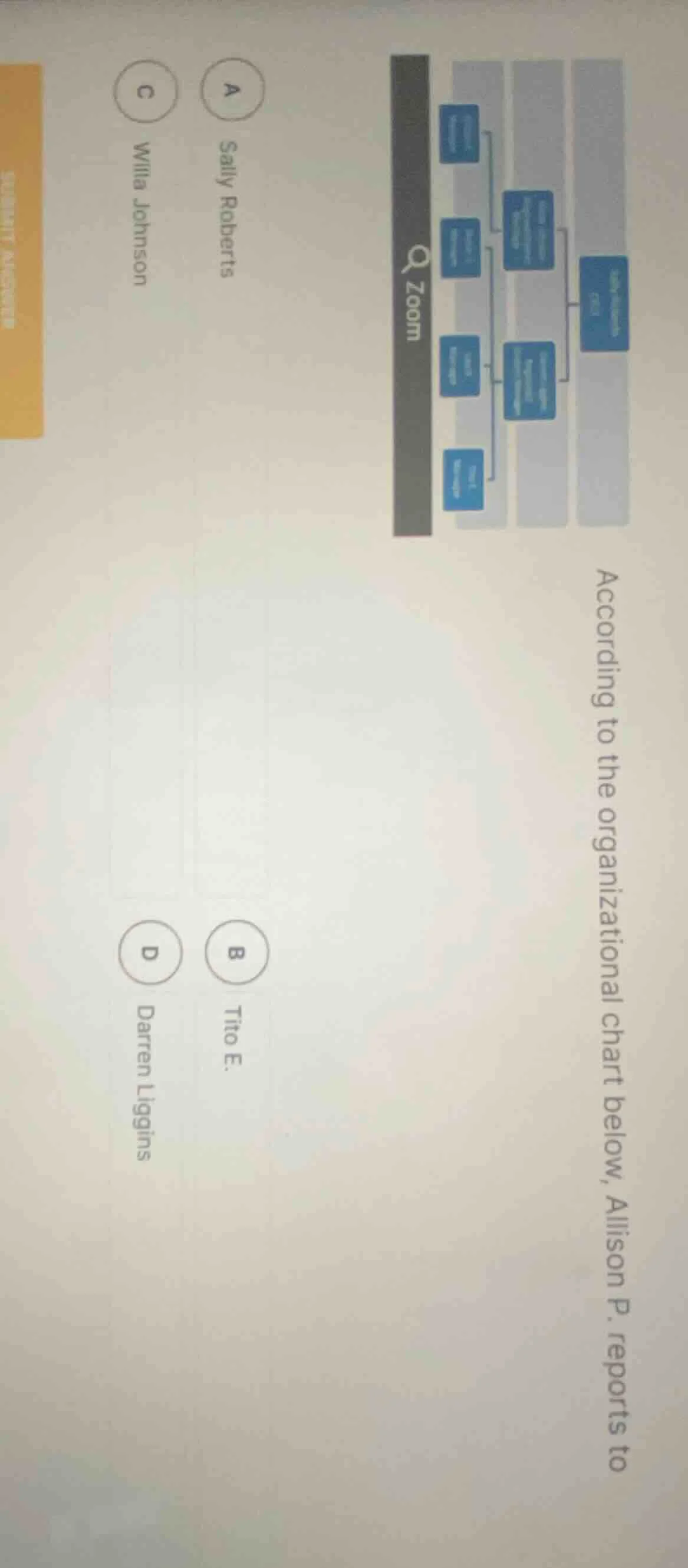 according to the organizational chart below, allison p. reports to a sa…