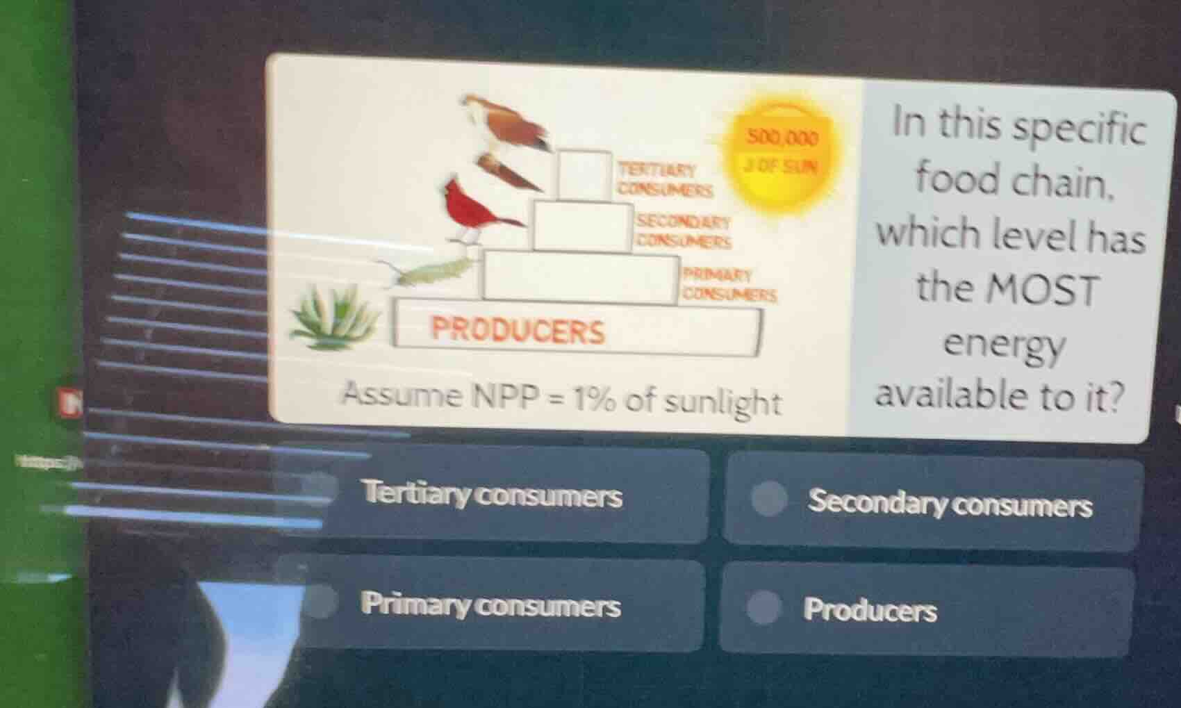 assume npp = 1% of sunlight in this specific food chain, which level ha…