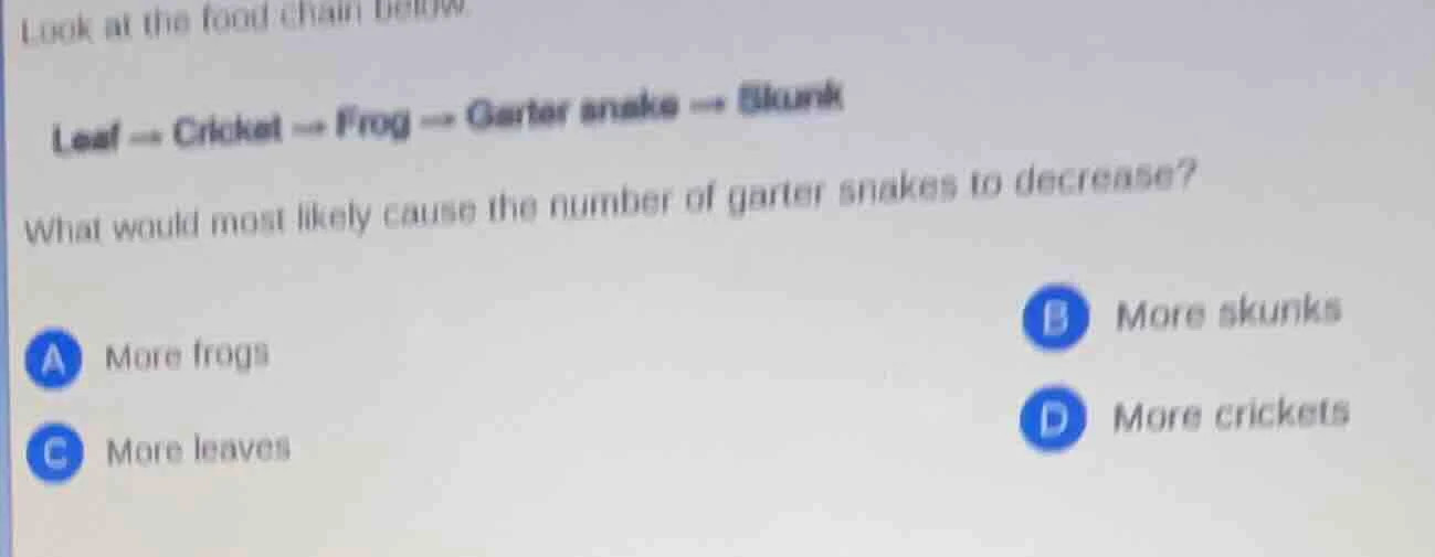 look at the food chain below leaf → cricket → frog → garter snake → sku…