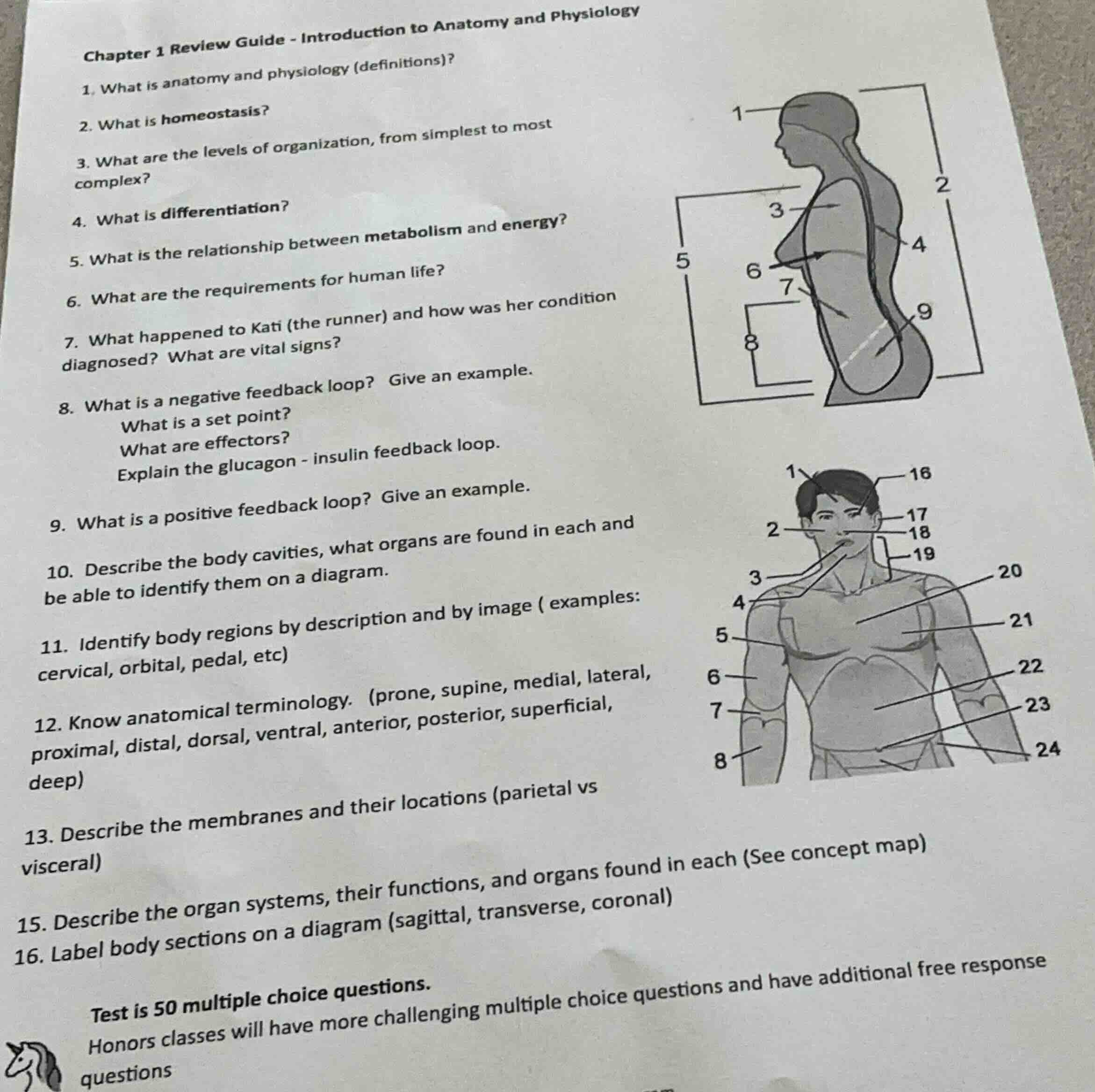chapter 1 review guide - introduction to anatomy and physiology 1. what…