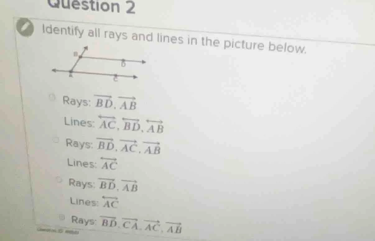 question 2 identify all rays and lines in the picture below. rays: $ove…