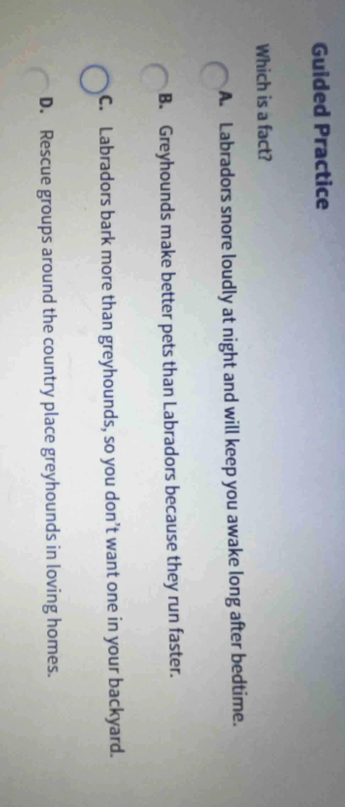 guided practice which is a fact? a. labradors snore loudly at night and…