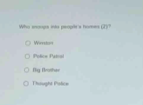 who snoops into peoples homes (?)? winston police patrol big brother th…