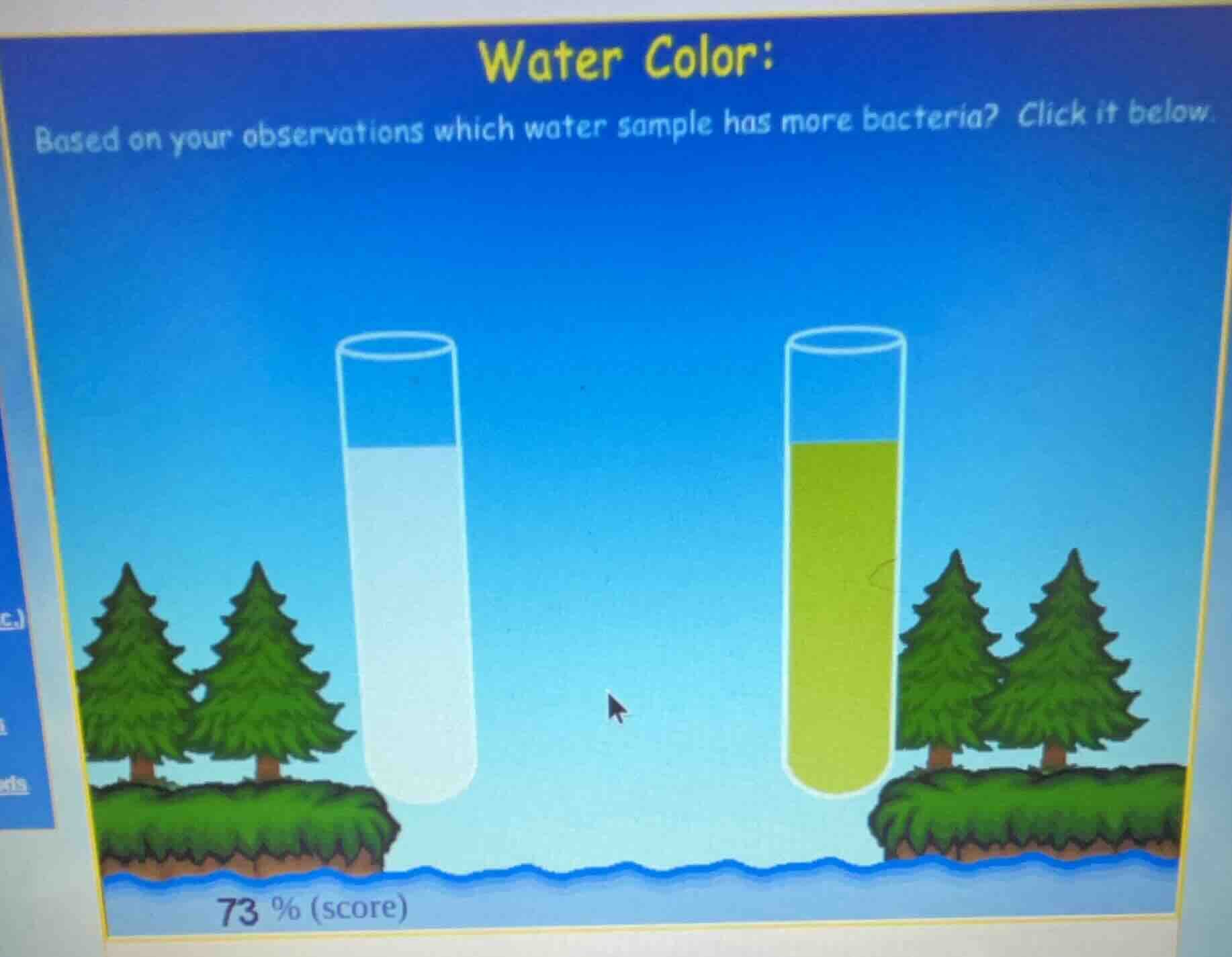 water color: based on your observations which water sample has more bac…