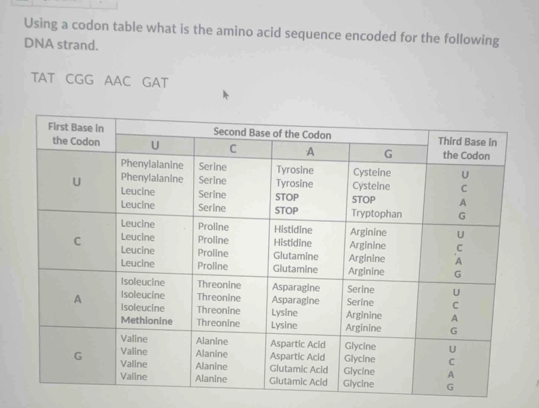 using a codon table what is the amino acid sequence encoded for the fol…