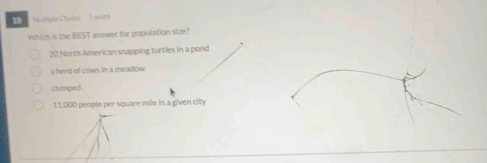 10 multiple choice 1 point which is the best answer for population size…