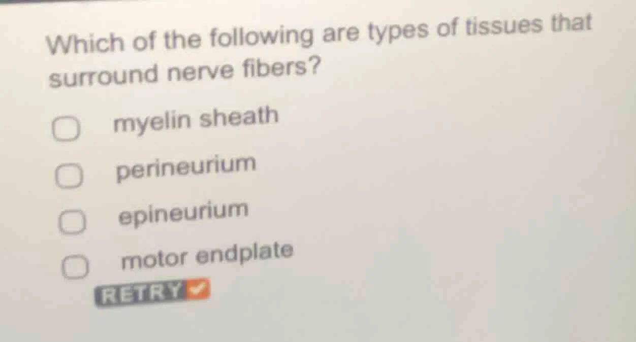 which of the following are types of tissues that surround nerve fibers?…