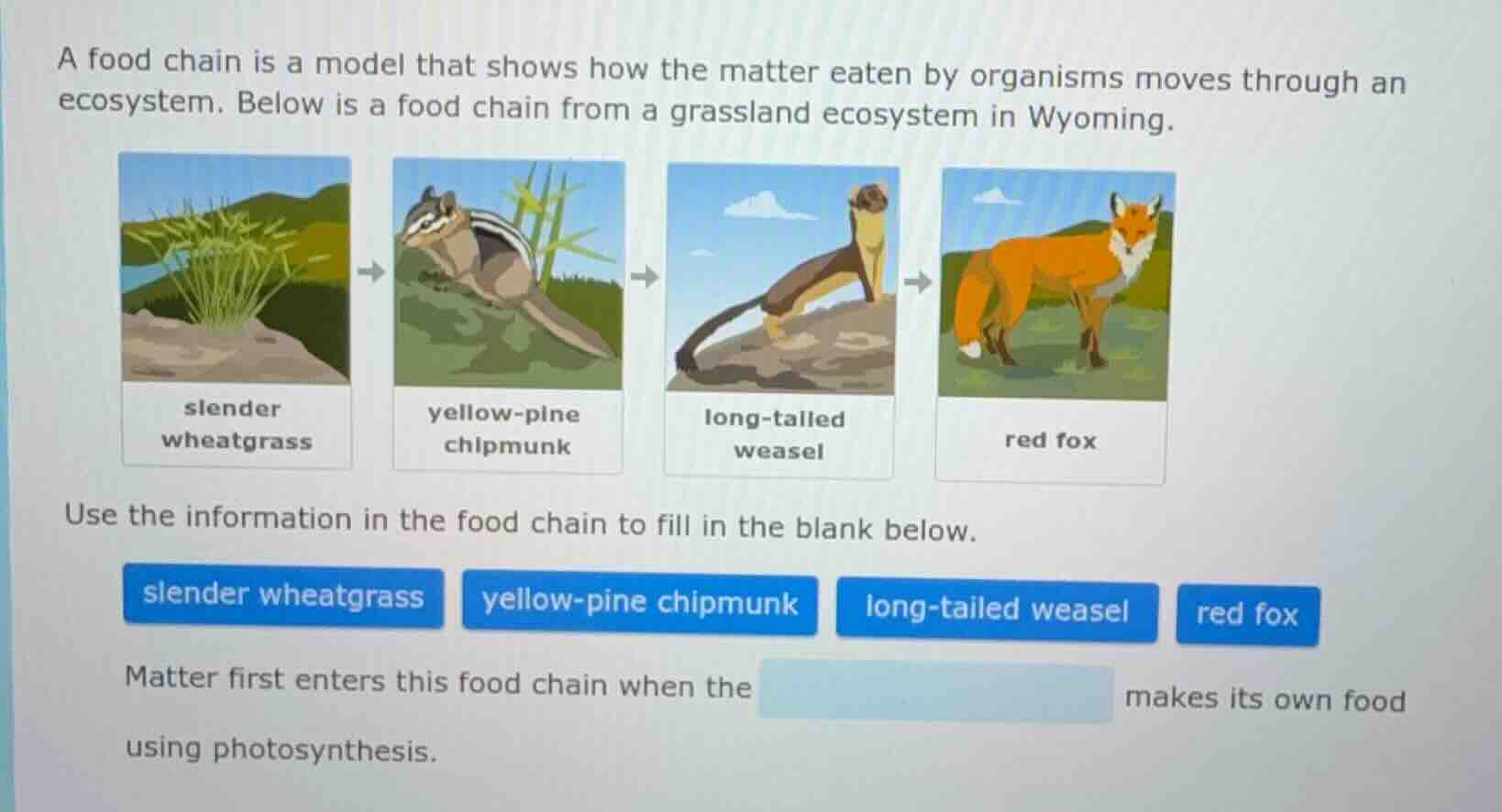 a food chain is a model that shows how the matter eaten by organisms mo…