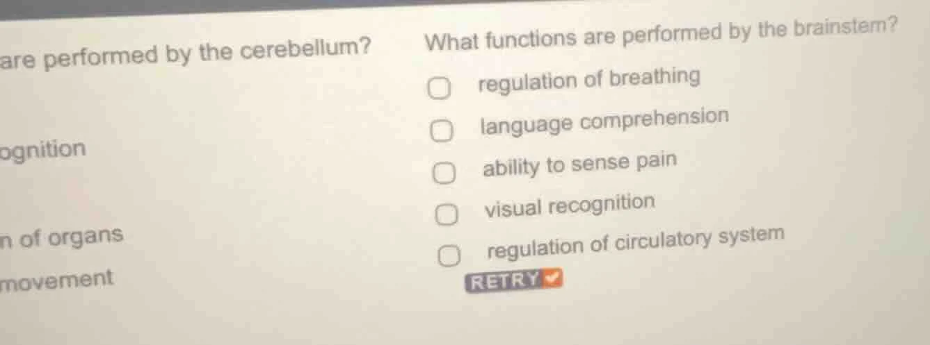 what functions are performed by the brainstem? regulation of breathing …