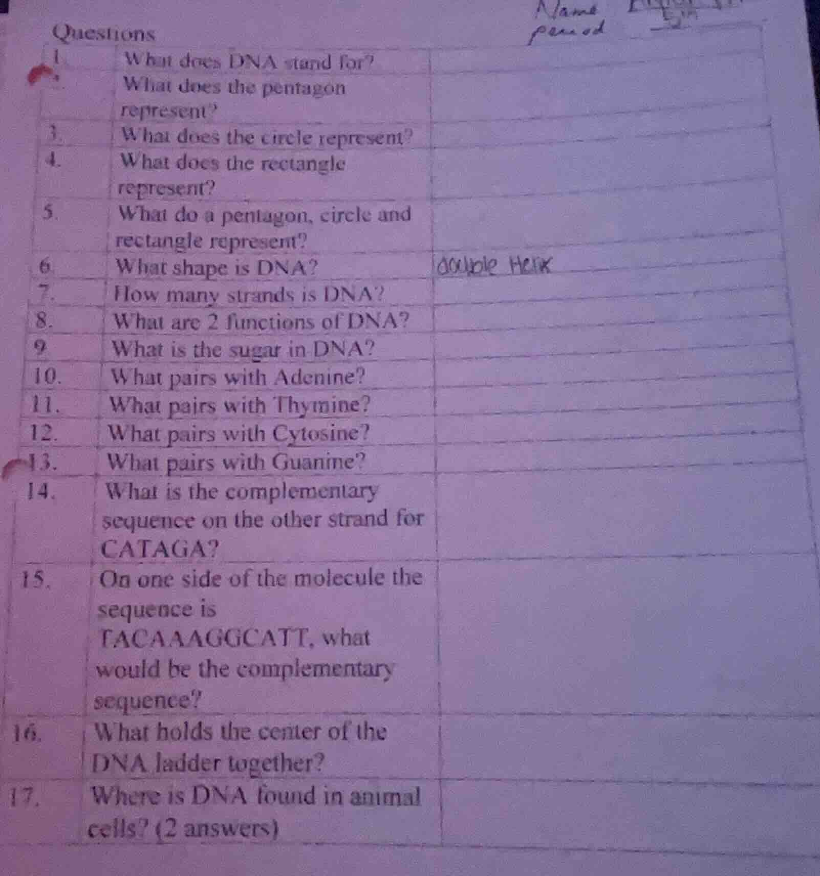 questions 1. what does dna stand for? 2. what does the pentagon represe…